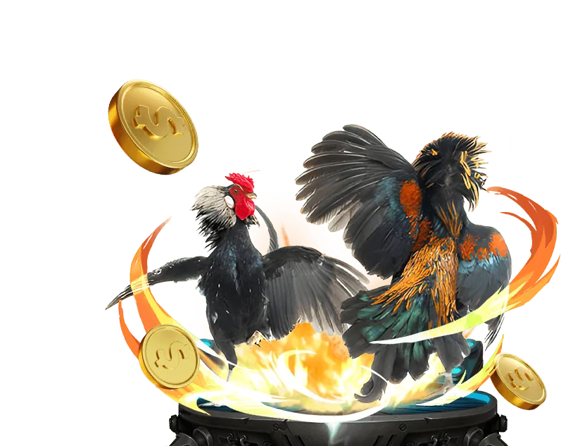 Chương trình VIP 123b