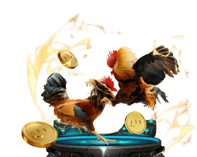 Hỗ trợ khách hàng 24/7 của 123b